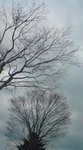 081220_1105~01.jpg
