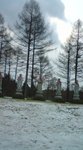 081220_1110~01.jpg