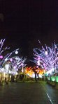 081222_1815~01.jpg